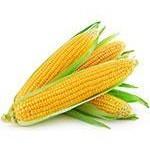 Семена кукурузы сахарной